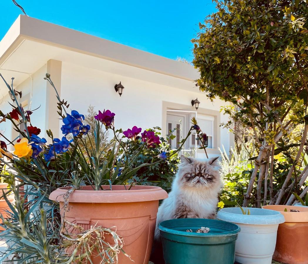 Archangelos Garden House Екстериор снимка